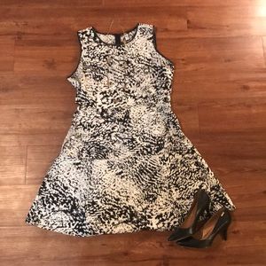NWT Calvin Klein Black and White Dress